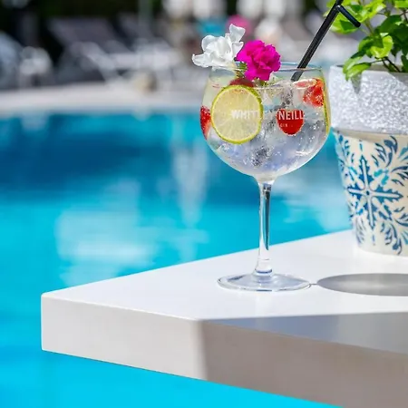 Hotel Anemi &